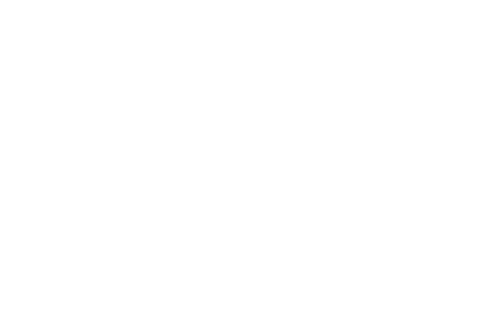 Desert Zen Logotype